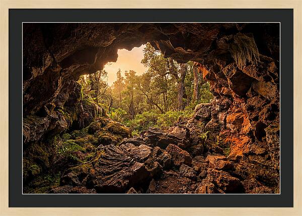 Lava Tube Cave Entrance