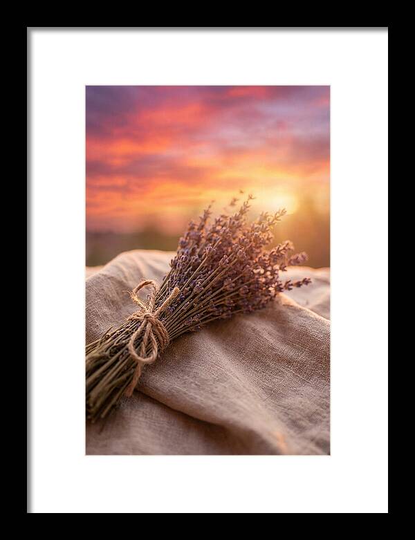 Lavender Bundle At Sunset