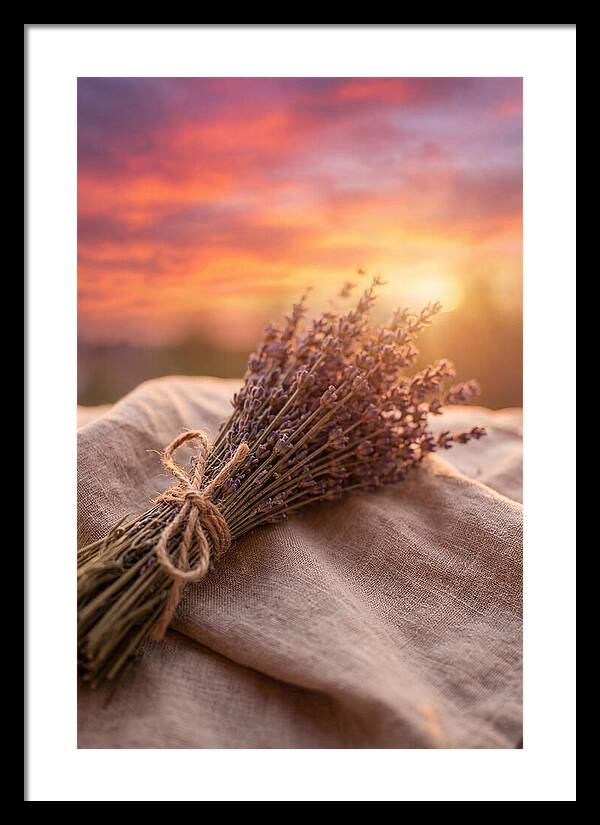 Lavender Bundle At Sunset