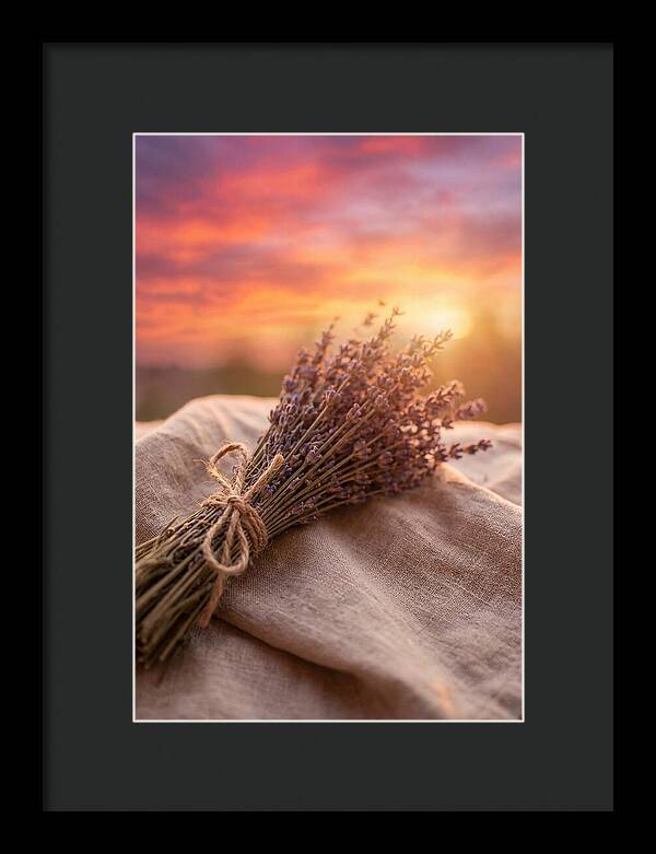 Lavender Bundle At Sunset