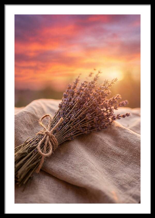 Lavender Bundle At Sunset
