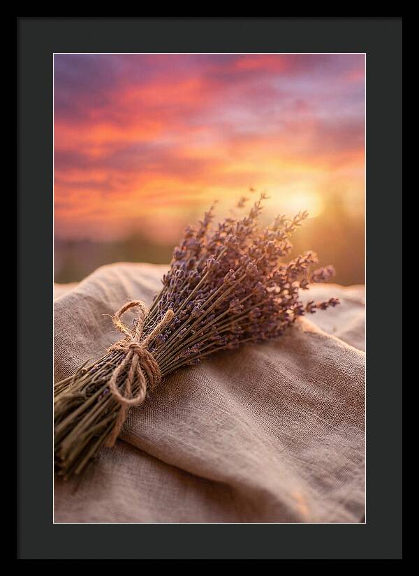 Lavender Bundle At Sunset
