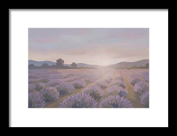 Lavender Field At Dusk