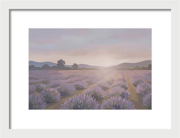Lavender Field At Dusk
