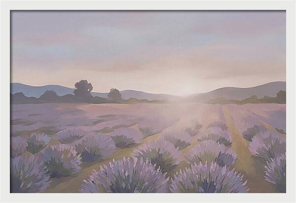 Lavender Field At Dusk