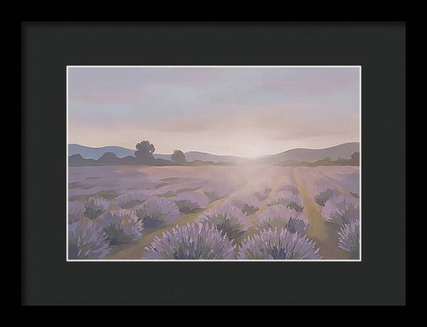 Lavender Field At Dusk