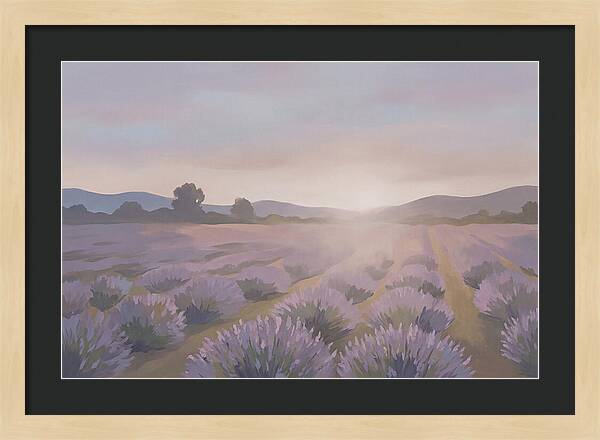 Lavender Field At Dusk