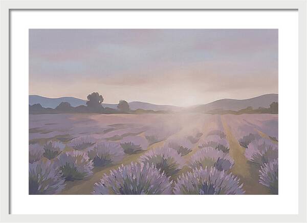Lavender Field At Dusk