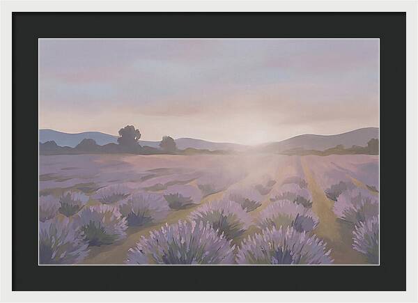 Lavender Field At Dusk