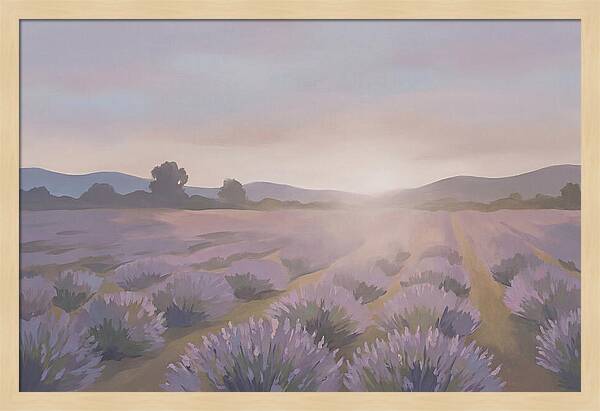 Lavender Field At Dusk