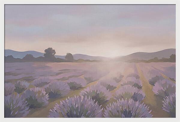 Lavender Field At Dusk