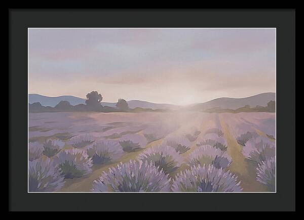 Lavender Field At Dusk