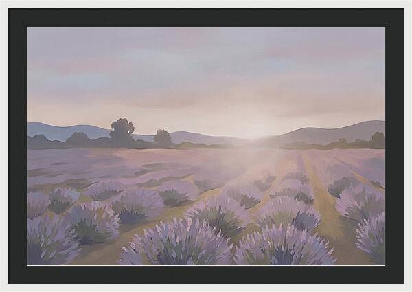 Lavender Field At Dusk