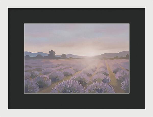 Lavender Field At Dusk