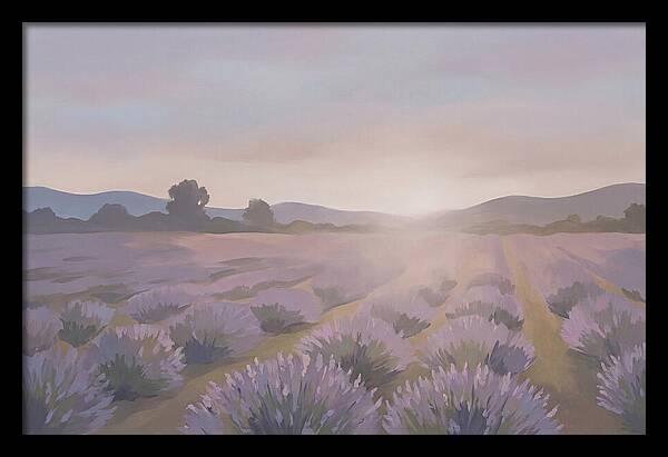 Lavender Field At Dusk