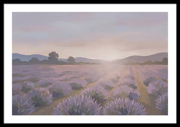 Lavender Field At Dusk