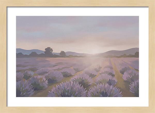 Lavender Field At Dusk