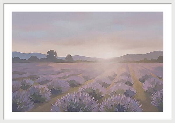 Lavender Field At Dusk