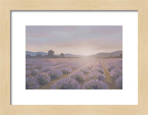 Lavender Field At Dusk