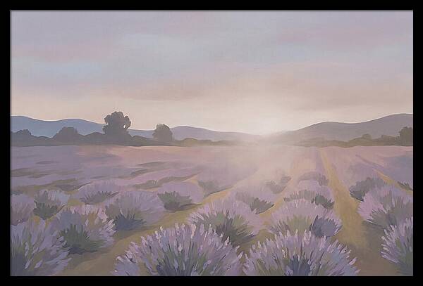 Lavender Field At Dusk