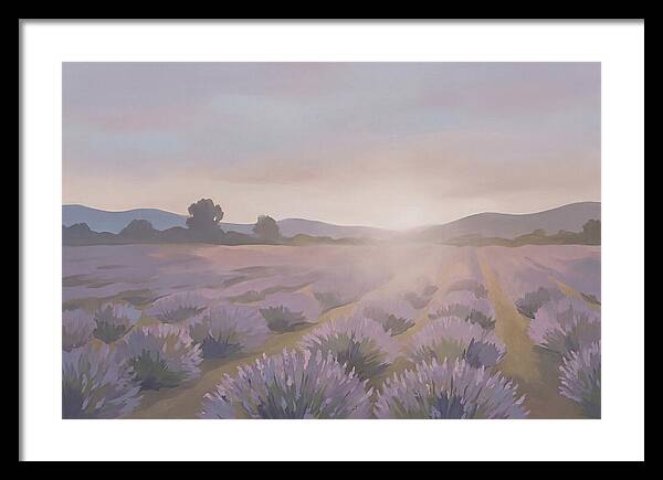 Lavender Field At Dusk