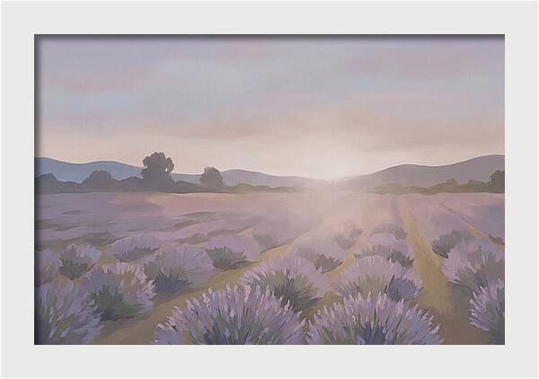 Lavender Field At Dusk