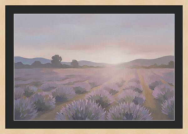 Lavender Field At Dusk