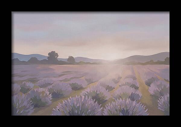 Lavender Field At Dusk