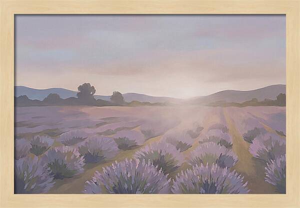 Lavender Field At Dusk