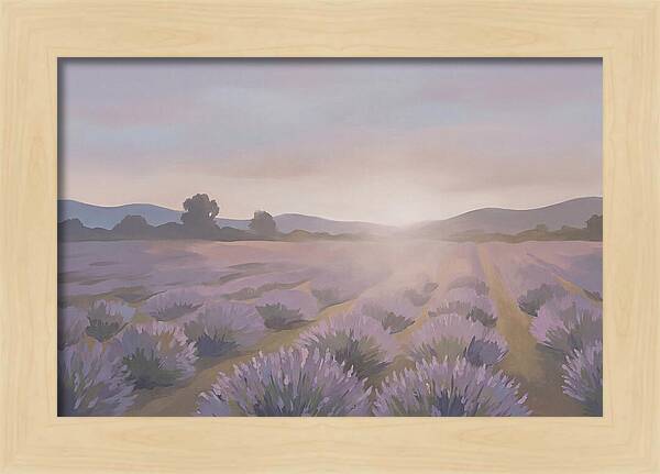 Lavender Field At Dusk