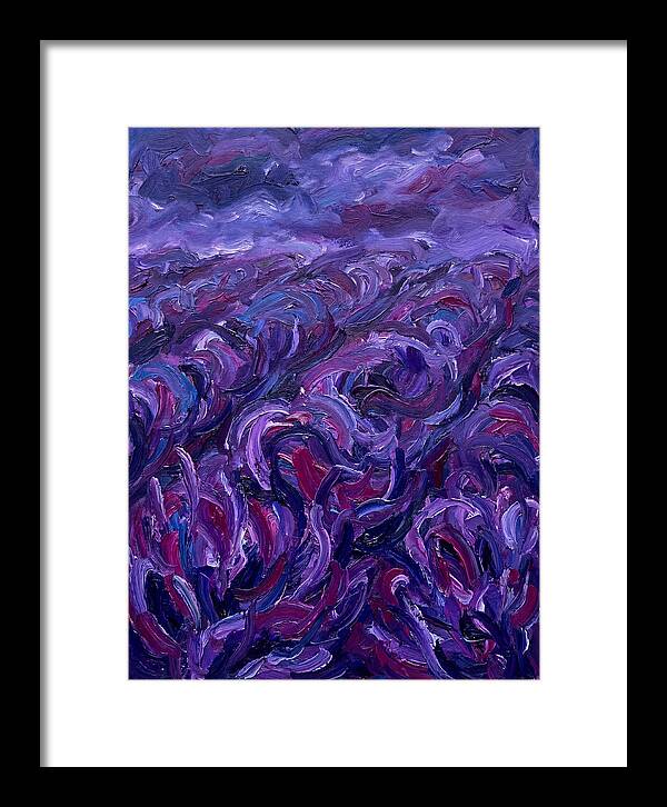 Lavender Field Serenity