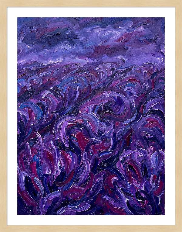 Lavender Field Serenity