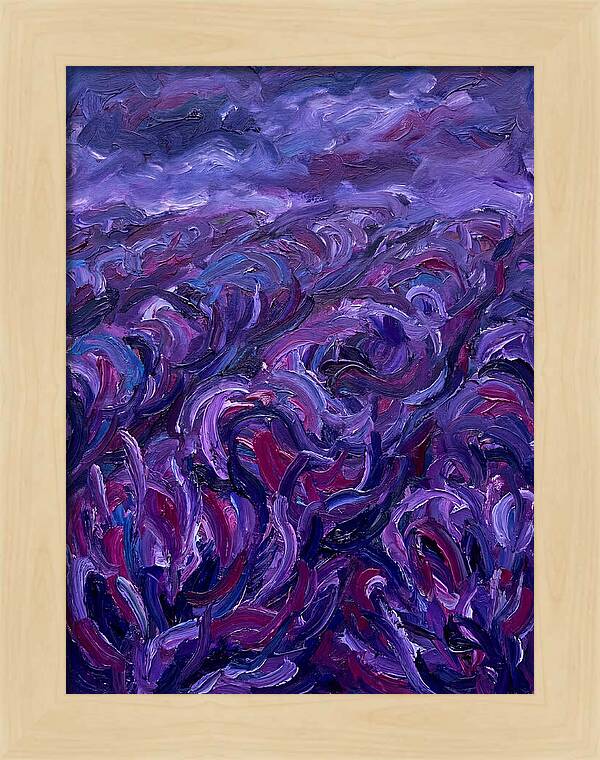 Lavender Field Serenity