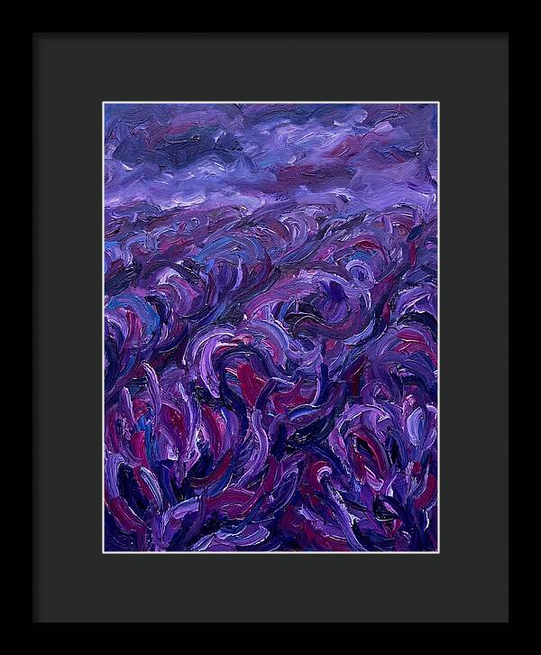 Lavender Field Serenity