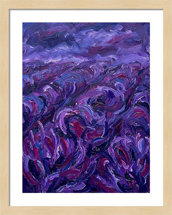 Lavender Field Serenity