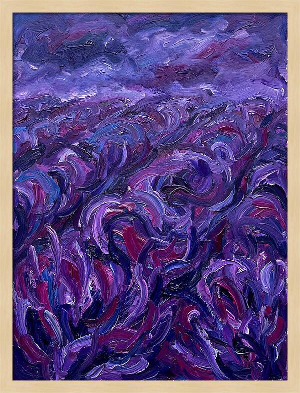 Lavender Field Serenity