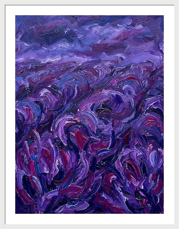 Lavender Field Serenity