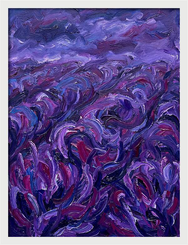 Lavender Field Serenity