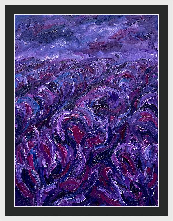 Lavender Field Serenity