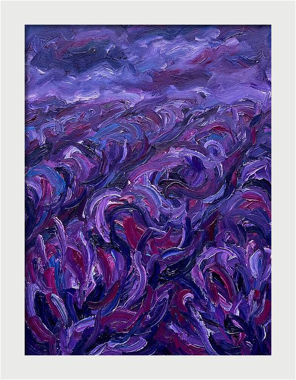 Lavender Field Serenity