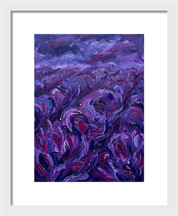 Lavender Field Serenity