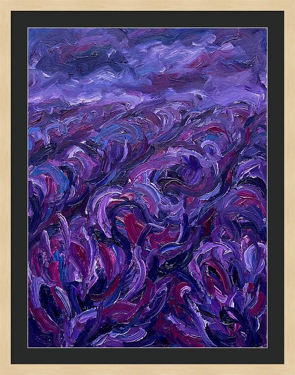 Lavender Field Serenity