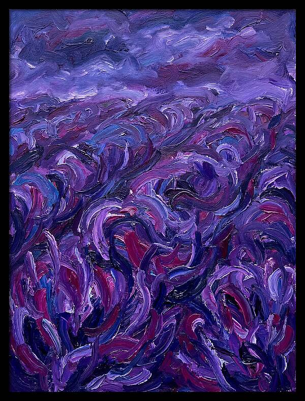 Lavender Field Serenity
