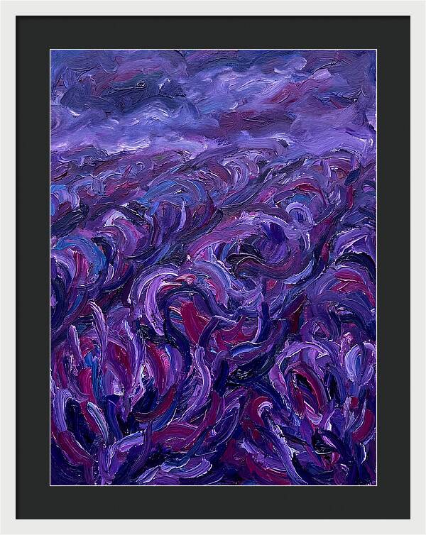 Lavender Field Serenity