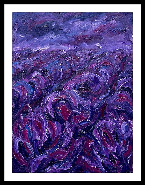 Lavender Field Serenity