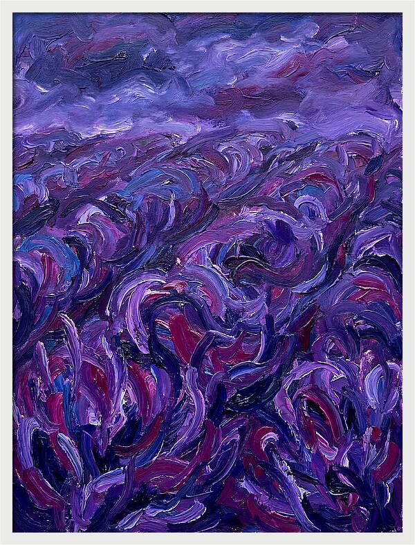 Lavender Field Serenity
