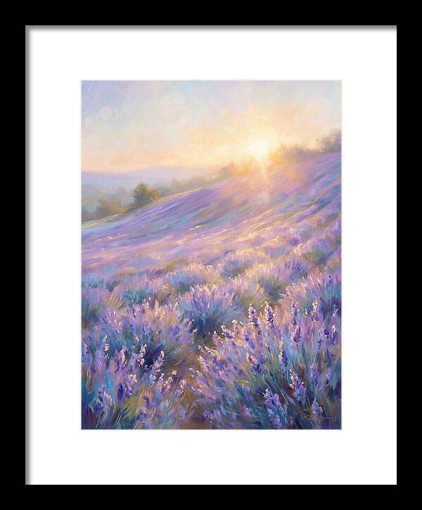 Lavender Fields At Sunrise