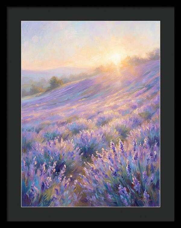 Lavender Fields At Sunrise