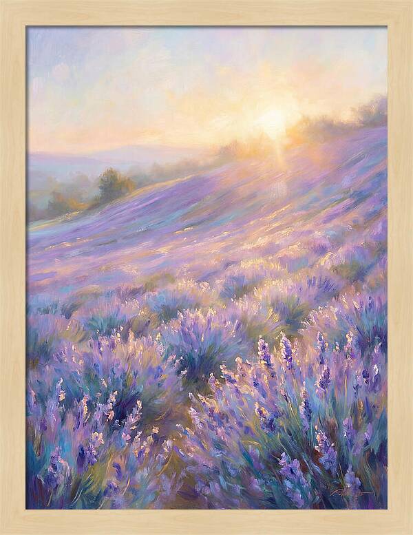 Lavender Fields At Sunrise