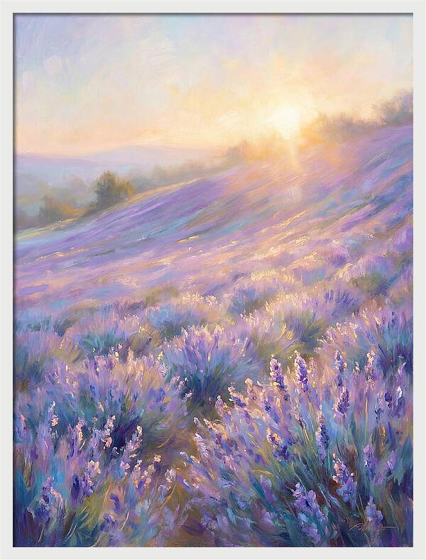 Lavender Fields At Sunrise
